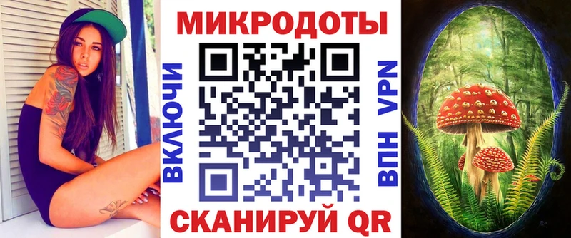 Галлюциногенные грибы мухоморы наркотики Аргун